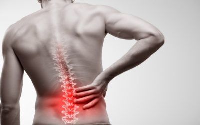 ¿Dónde me duele? Anatomía funcional de la columna vertebral